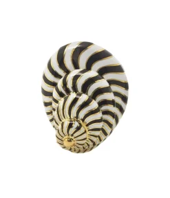 David Webb Brooches*Shell Brooch